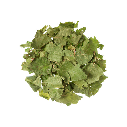 Brzoza Ekologiczna - 100 g